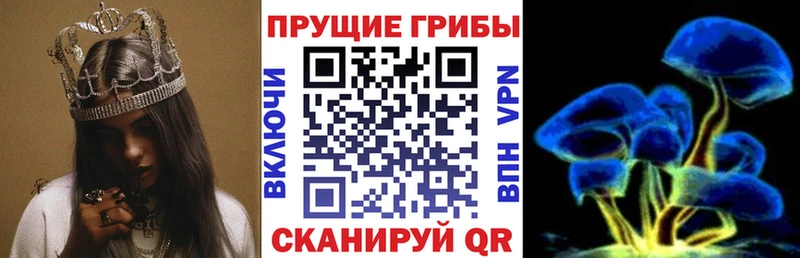 Псилоцибиновые грибы ЛСД  Купить  Хотьково 